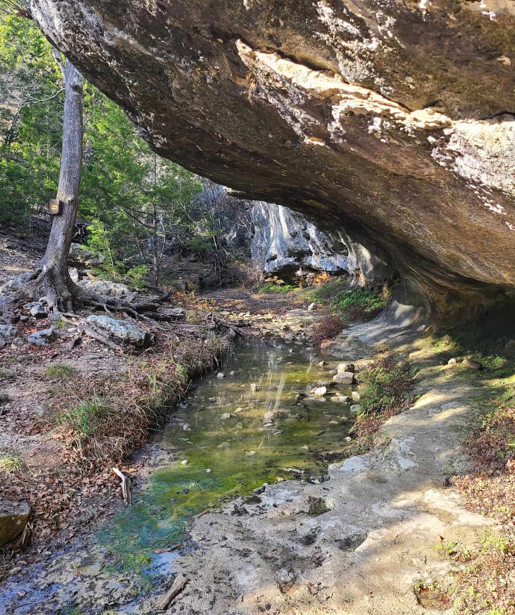 Lost Maples State Natural Area San Antonio Lost Maples State Natural Area San Antonio