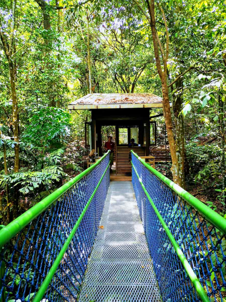 MacRitchie Reservoir Park TreeTop, Singapore MacRitchie Reservoir Park TreeTop, Singapore