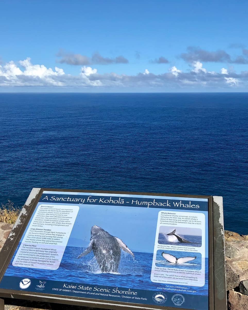 Makapu'u Point Lighthouse Trail, Honolulu Makapu'u Point Lighthouse Trail, Honolulu