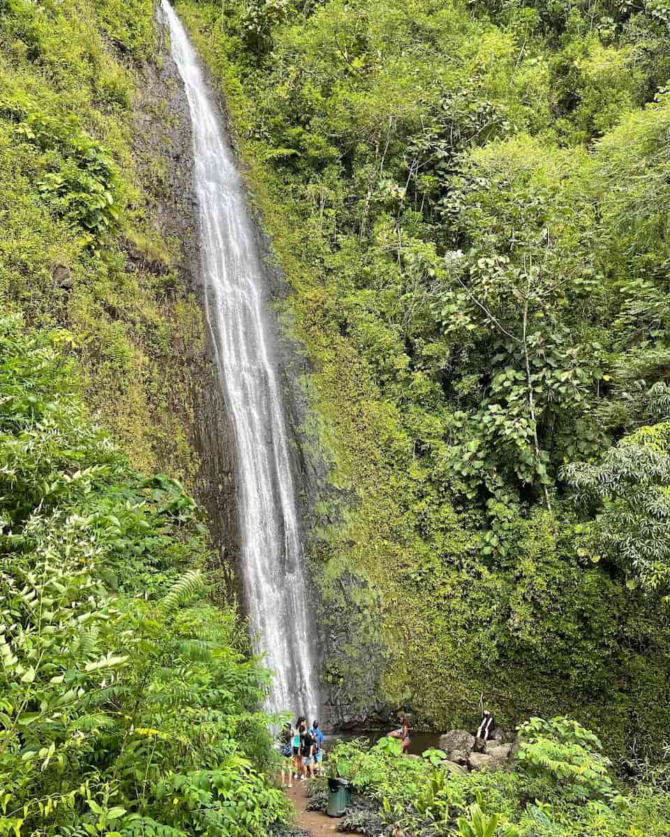 Manoa Falls Hike, Honolulu Manoa Falls Hike, Honolulu