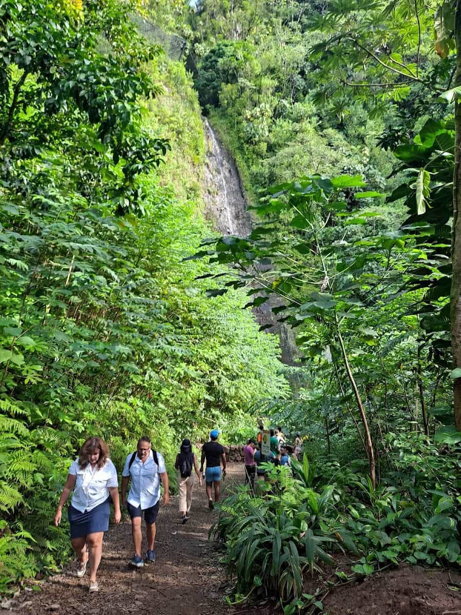 Manoa Falls, Oahu, Hawaii Manoa Falls, Oahu, Hawaii