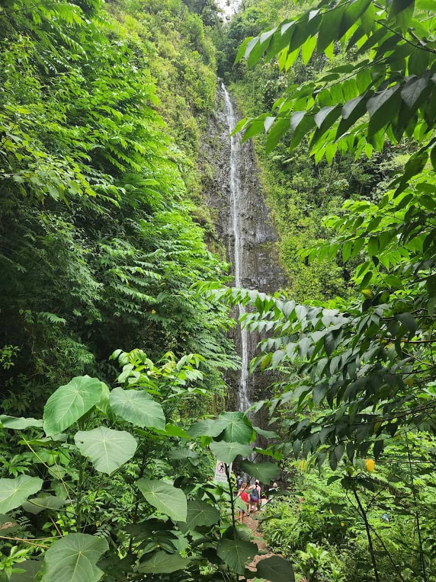 Manoa Falls, Oahu, Hawaii Manoa Falls, Oahu, Hawaii
