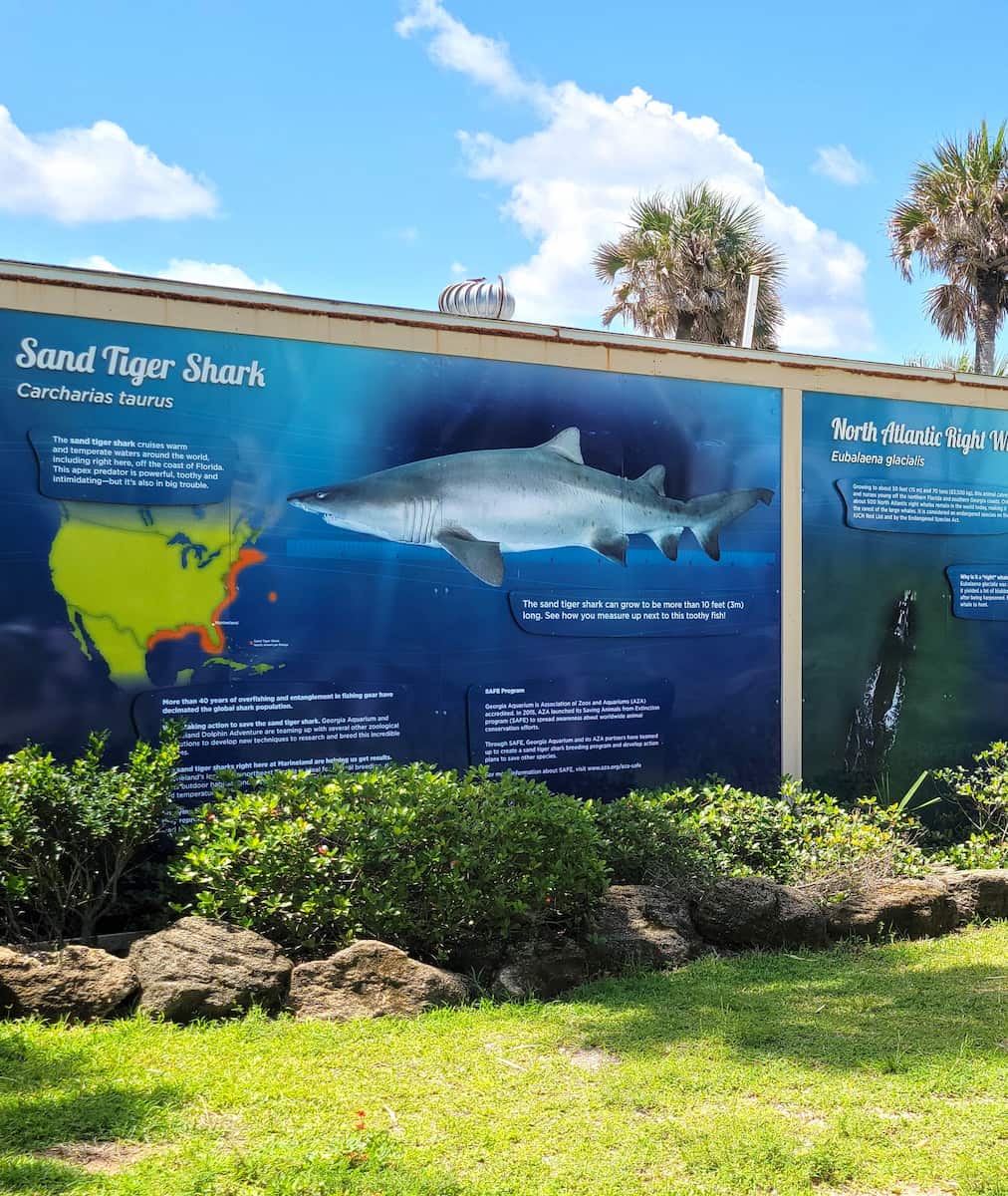 Marineland Dolphin Adventure, FL Marineland Dolphin Adventure, FL