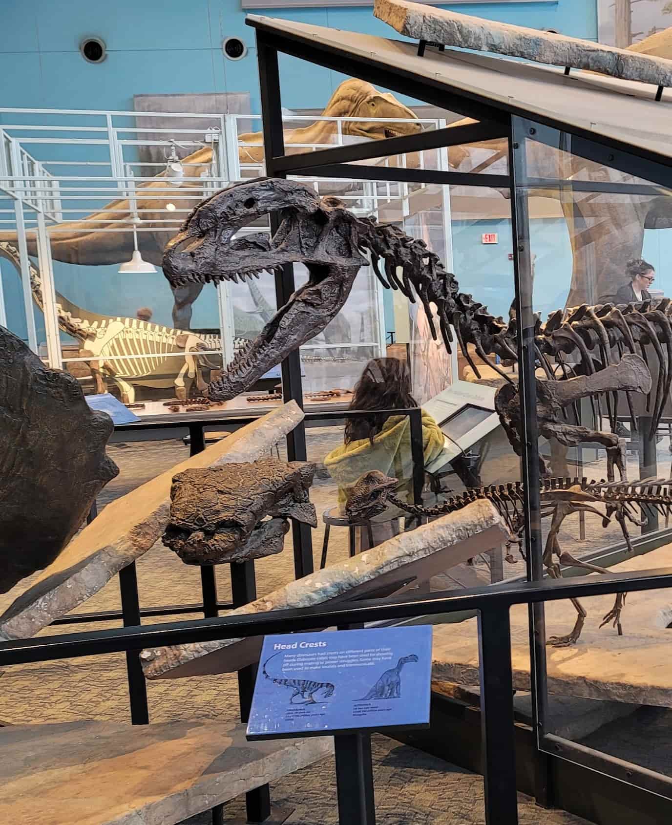 Maryland Science Center, Baltimore Maryland Science Center, Baltimore