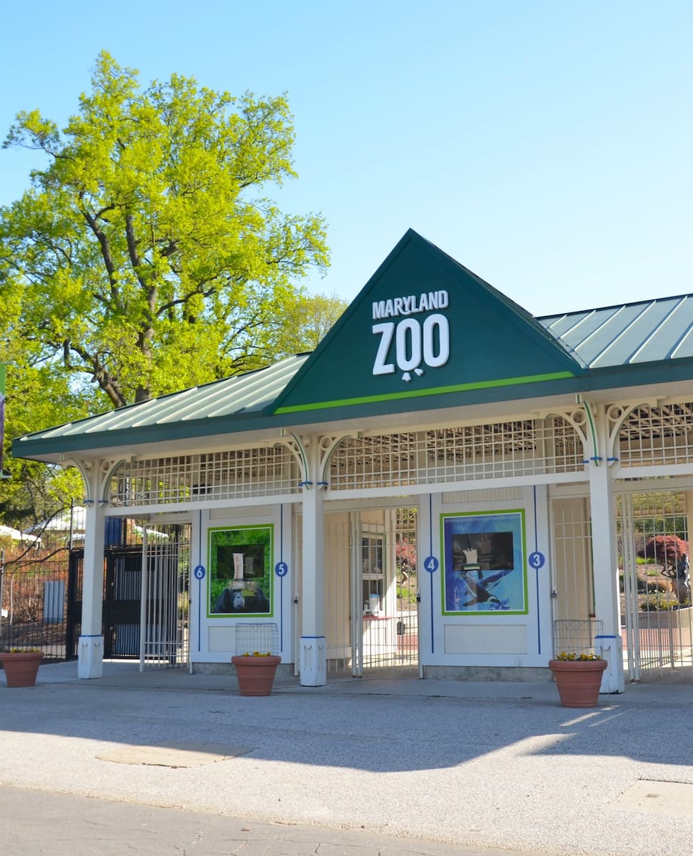 Maryland Zoo, Baltimore Maryland Zoo, Baltimore