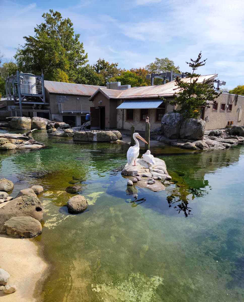 Maryland Zoo, Baltimore Maryland Zoo, Baltimore