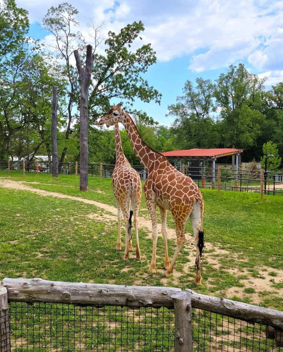 Maryland Zoo, Baltimore Maryland Zoo, Baltimore
