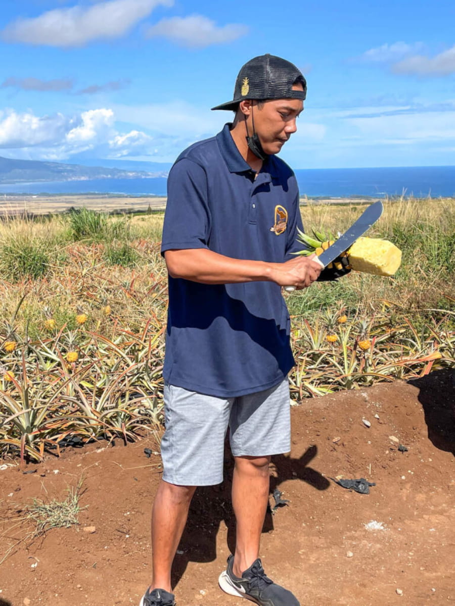 Maui Pineapple Tour, Hawaii Maui Pineapple Tour, Hawaii