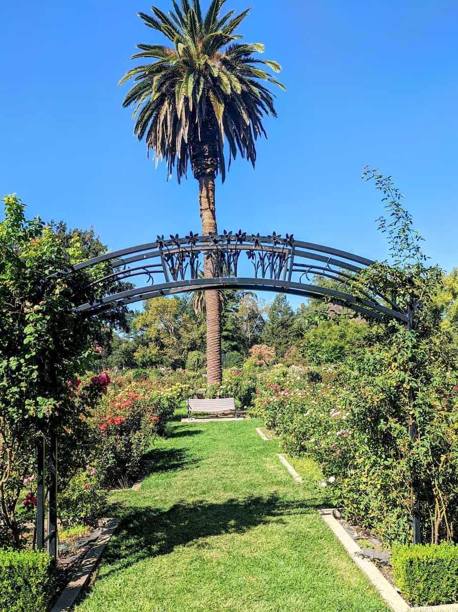 McKinley Playground and Rose Garden Sacramento McKinley Playground and Rose Garden Sacramento