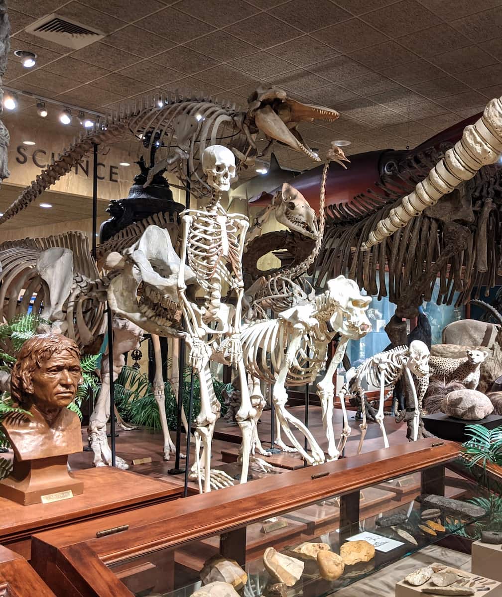 Milwaukee Public Museum Milwaukee Public Museum