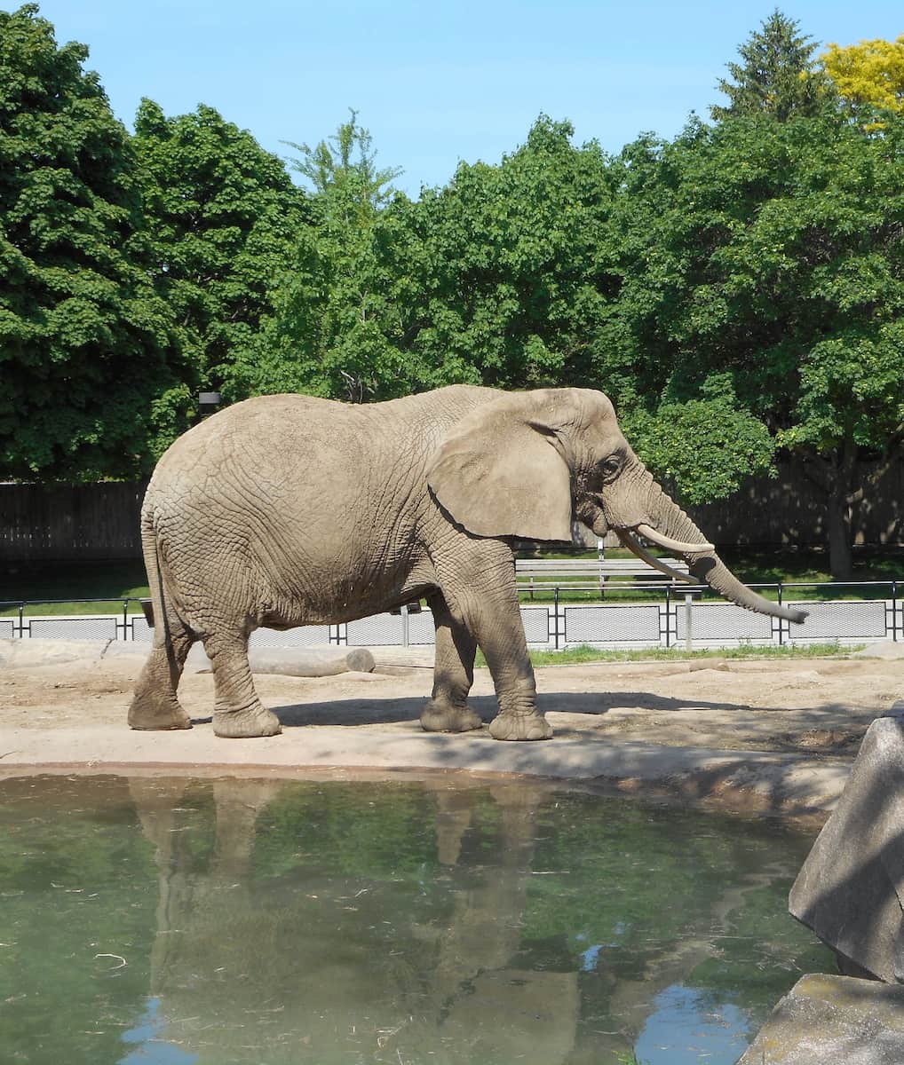 Milwaukee Zoo Milwaukee Zoo