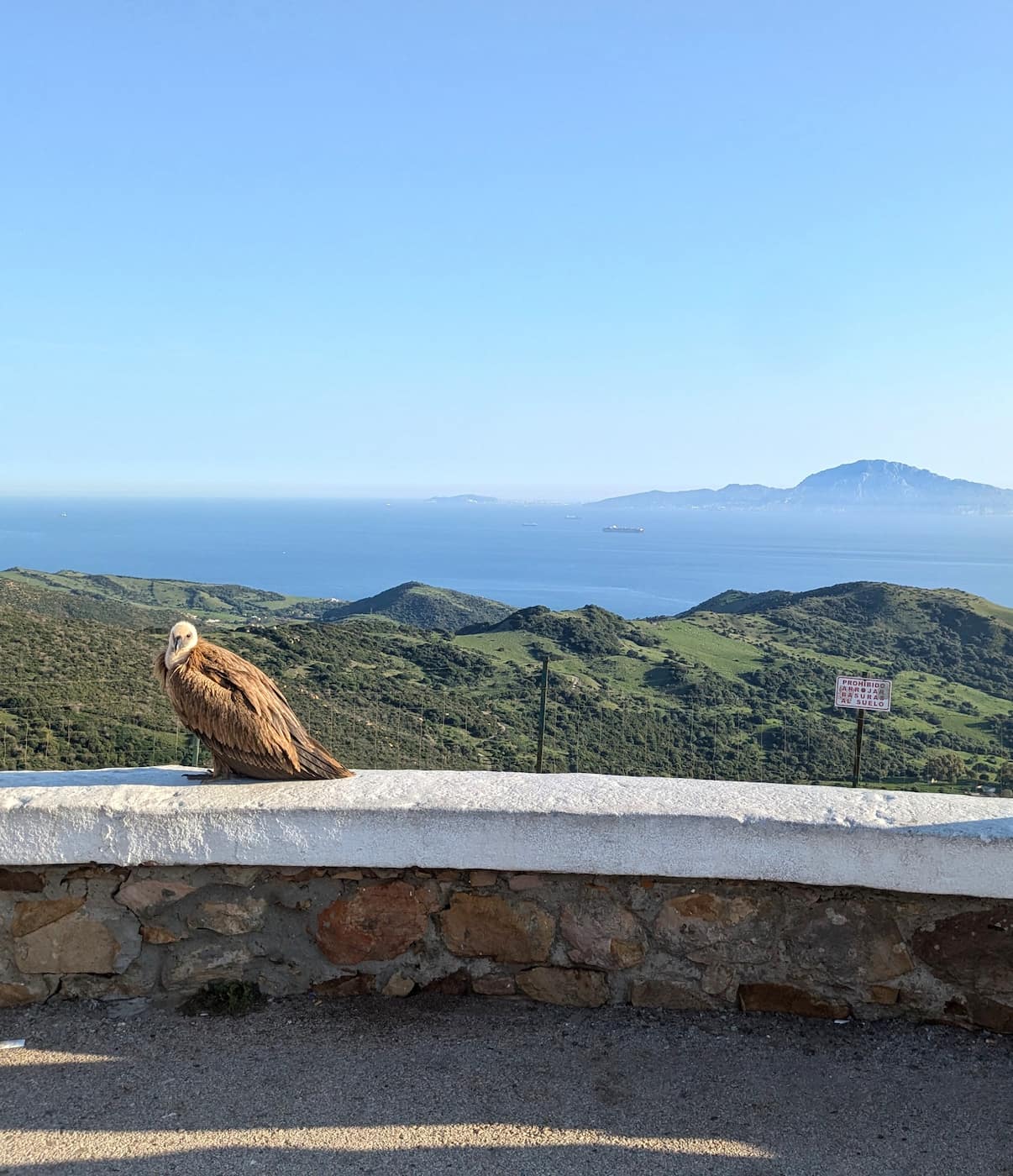 Mirador del Estrecho Tarifa Mirador del Estrecho Tarifa