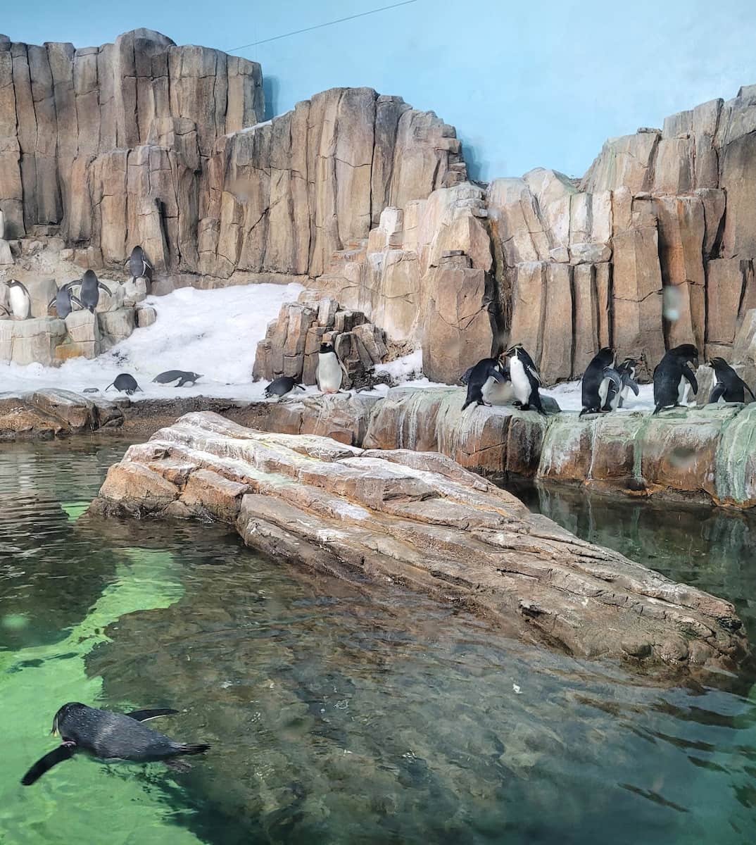 Montreal Biodome Montreal Biodome