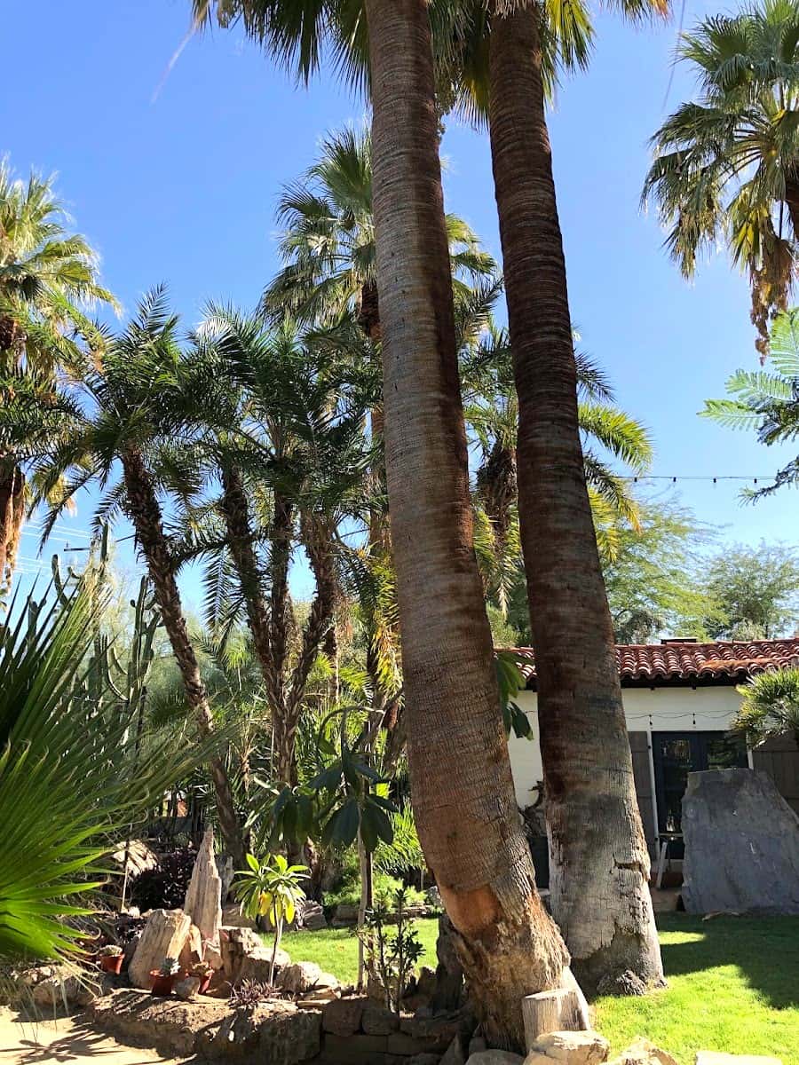 Moorten Botanical Garden and Cactarium, Palm Springs Moorten Botanical Garden and Cactarium, Palm Springs