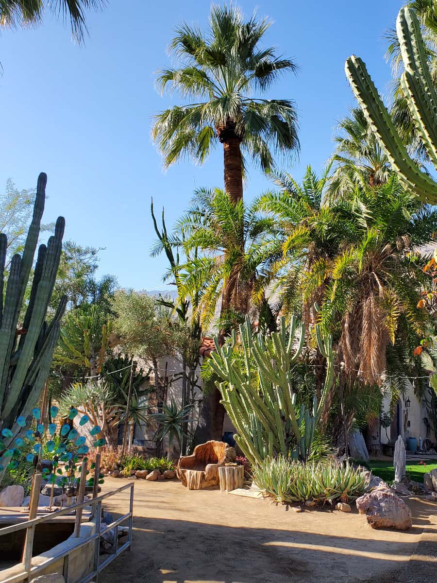 Moorten Botanical Garden and Cactarium, Palm Springs Moorten Botanical Garden and Cactarium, Palm Springs