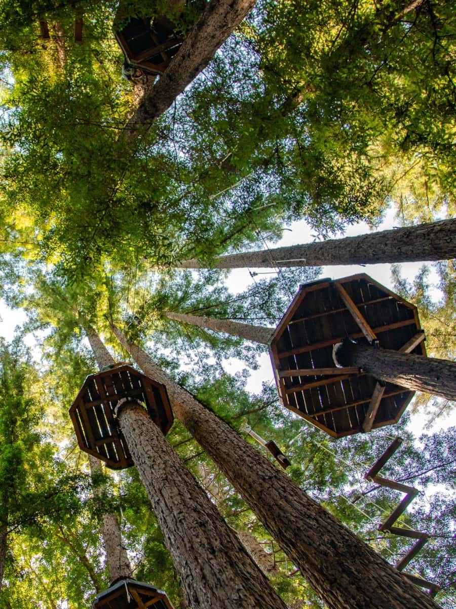 Mount Hermon Adventures, USA Mount Hermon Adventures, USA