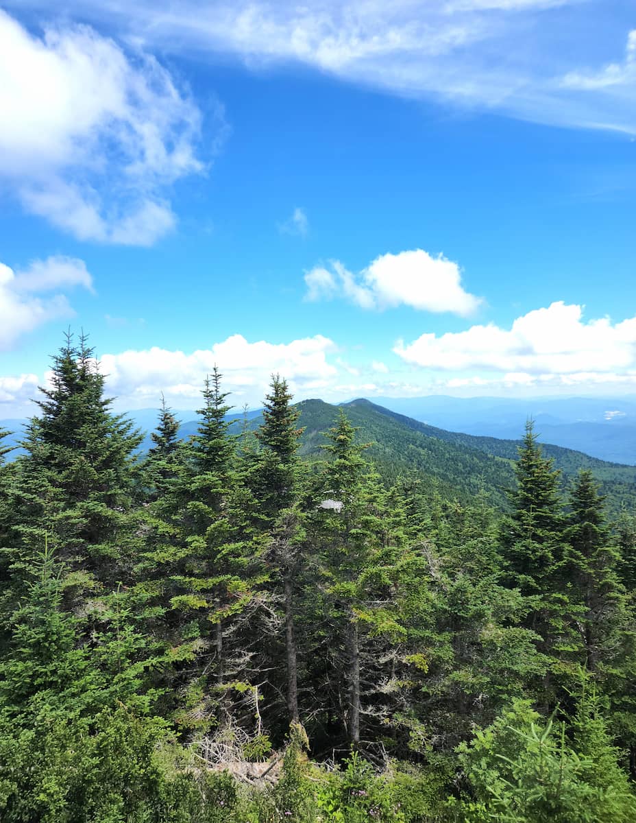 Mount Mitchell State Park NC Mount Mitchell State Park NC
