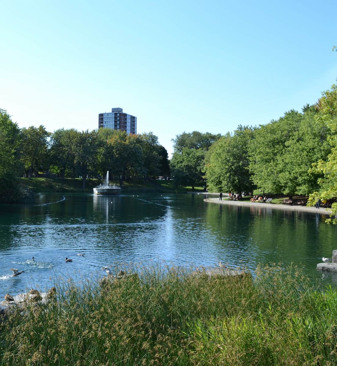 Mount Royal Park Montreal Mount Royal Park Montreal