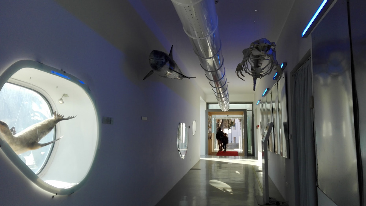 Museo del Mare, Pescara Museo del Mare, Pescara