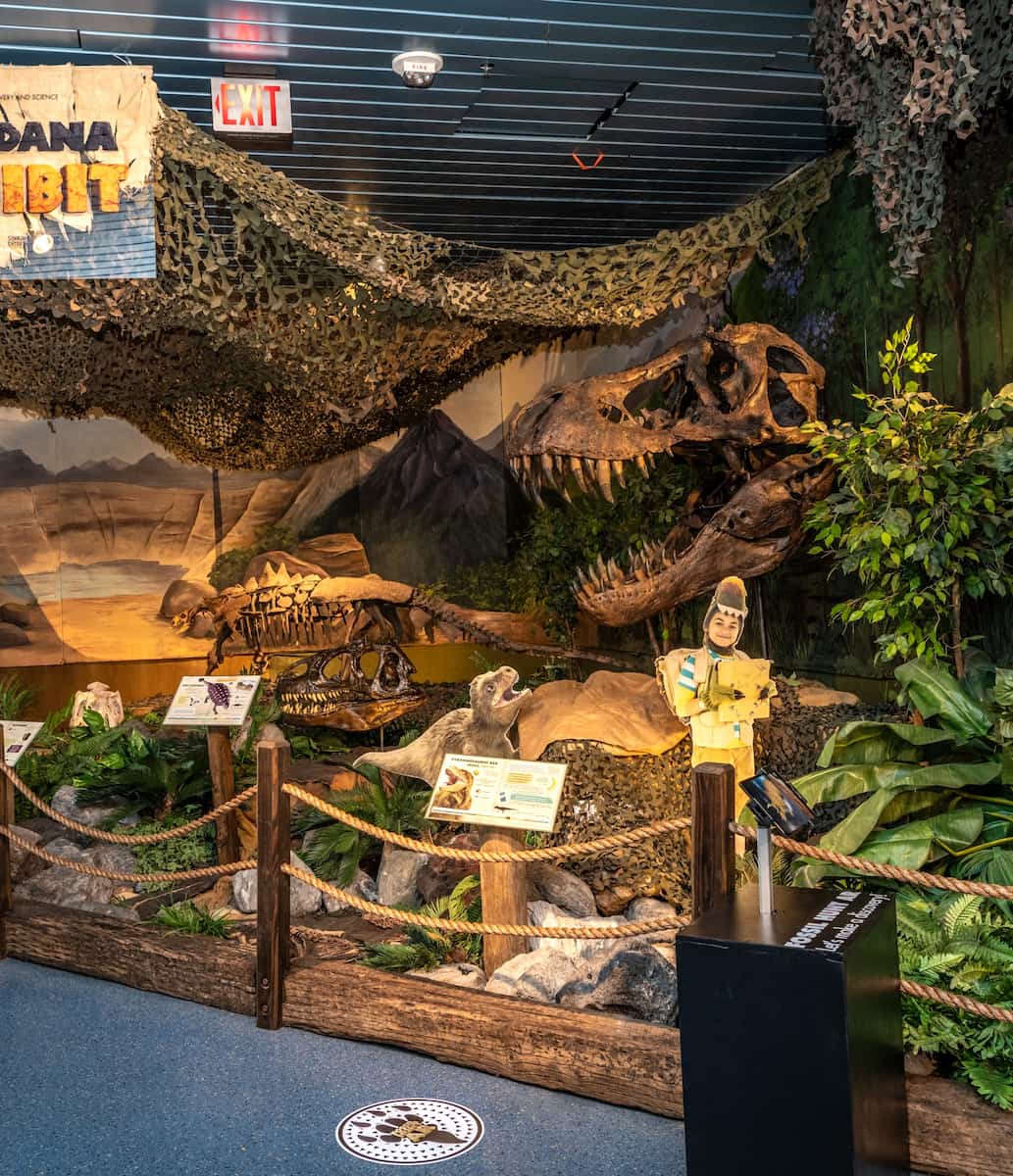 Museum of Discovery and Science Fort Lauderdale Museum of Discovery and Science Fort Lauderdale