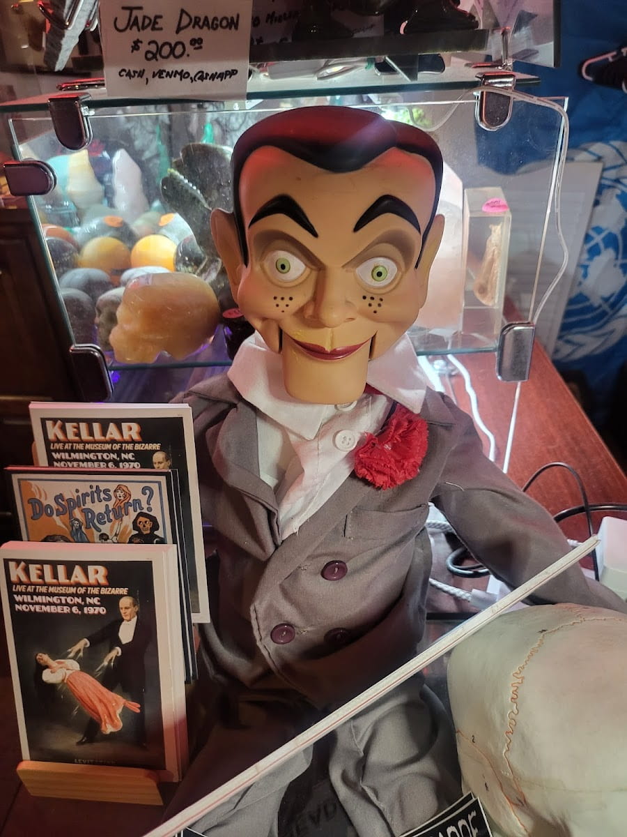 Museum of the Bizarre, Wilmington Museum of the Bizarre, Wilmington