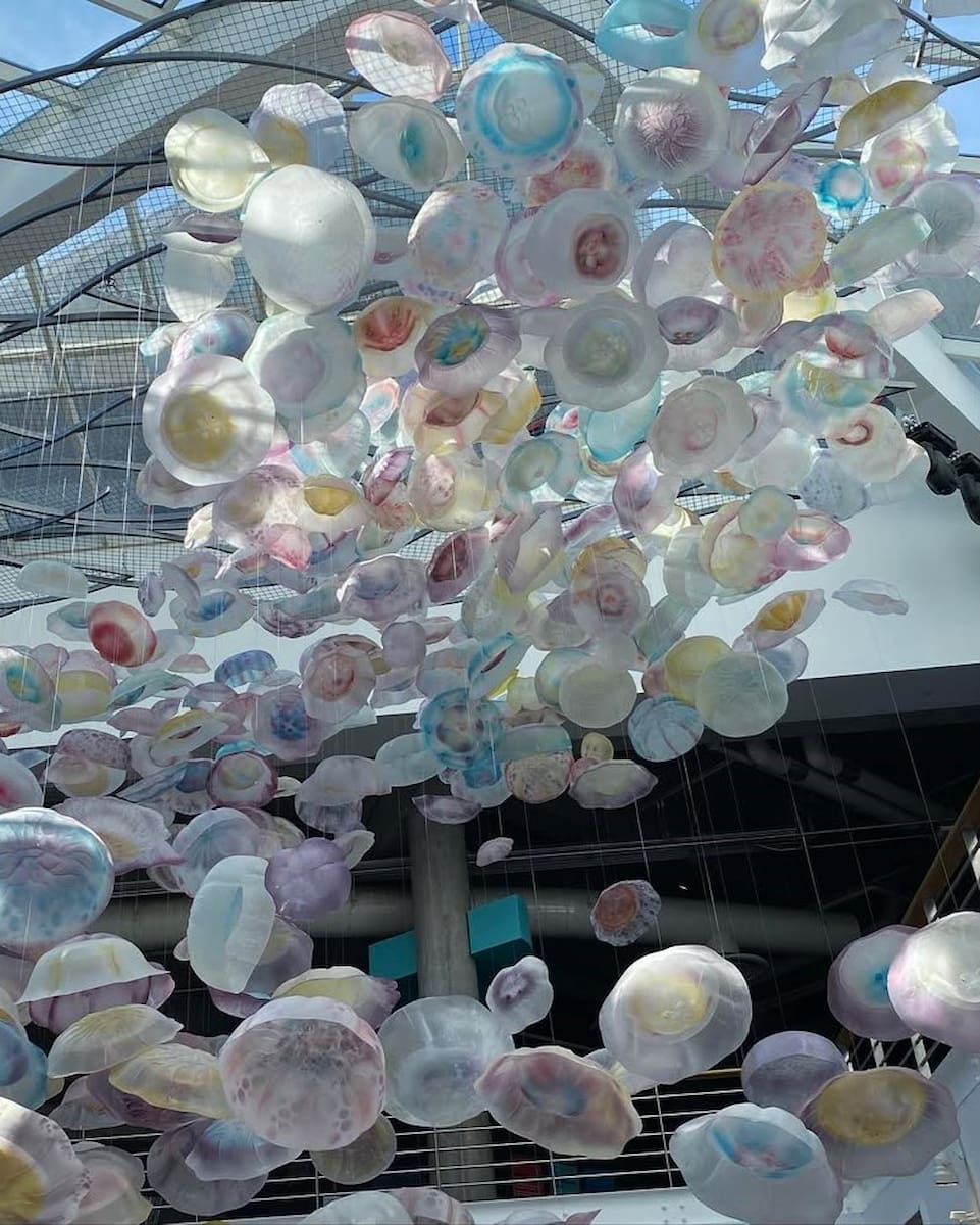 National Aquarium, Baltimore National Aquarium, Baltimore