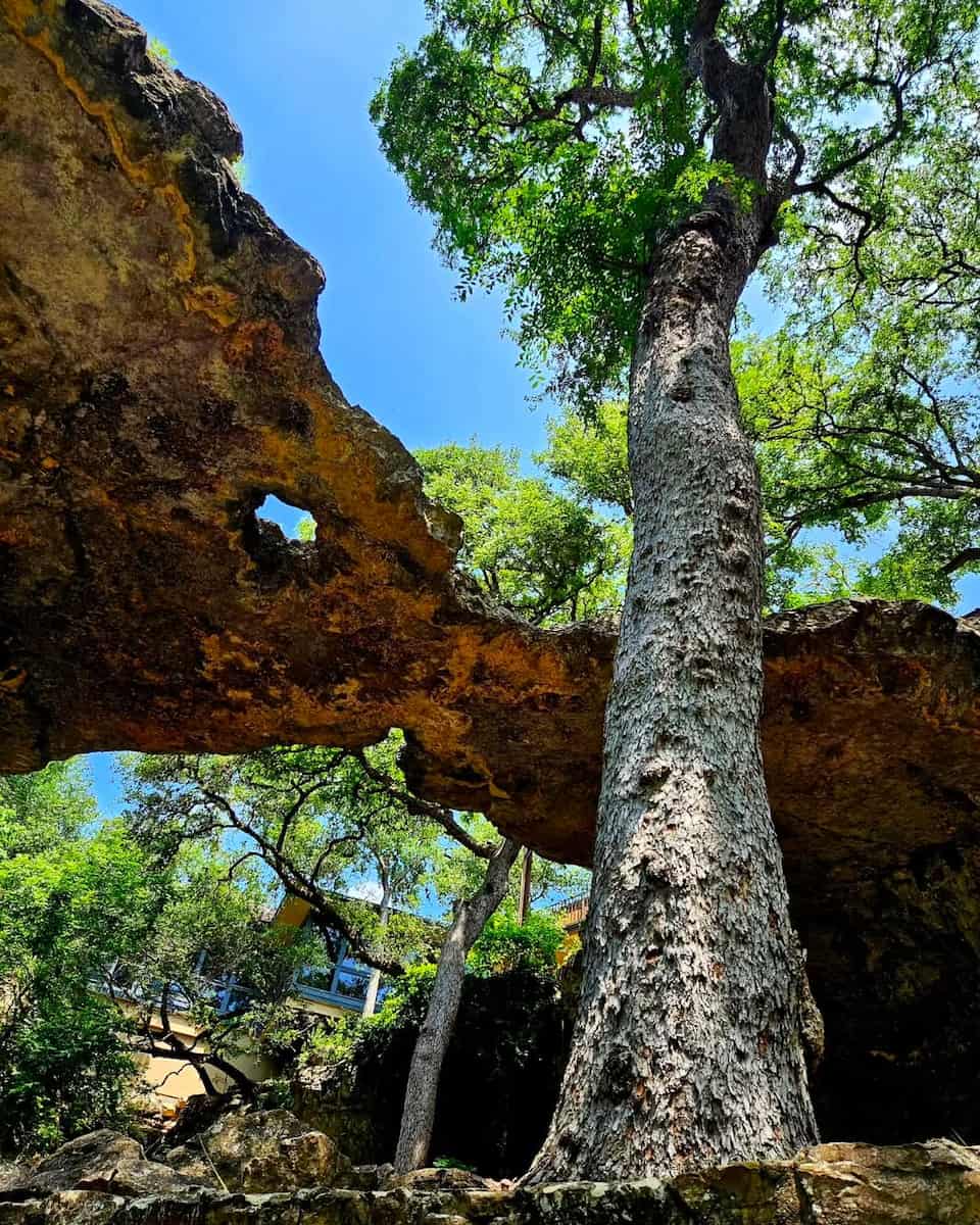 Natural Bridge Caverns, Texas Natural Bridge Caverns, Texas