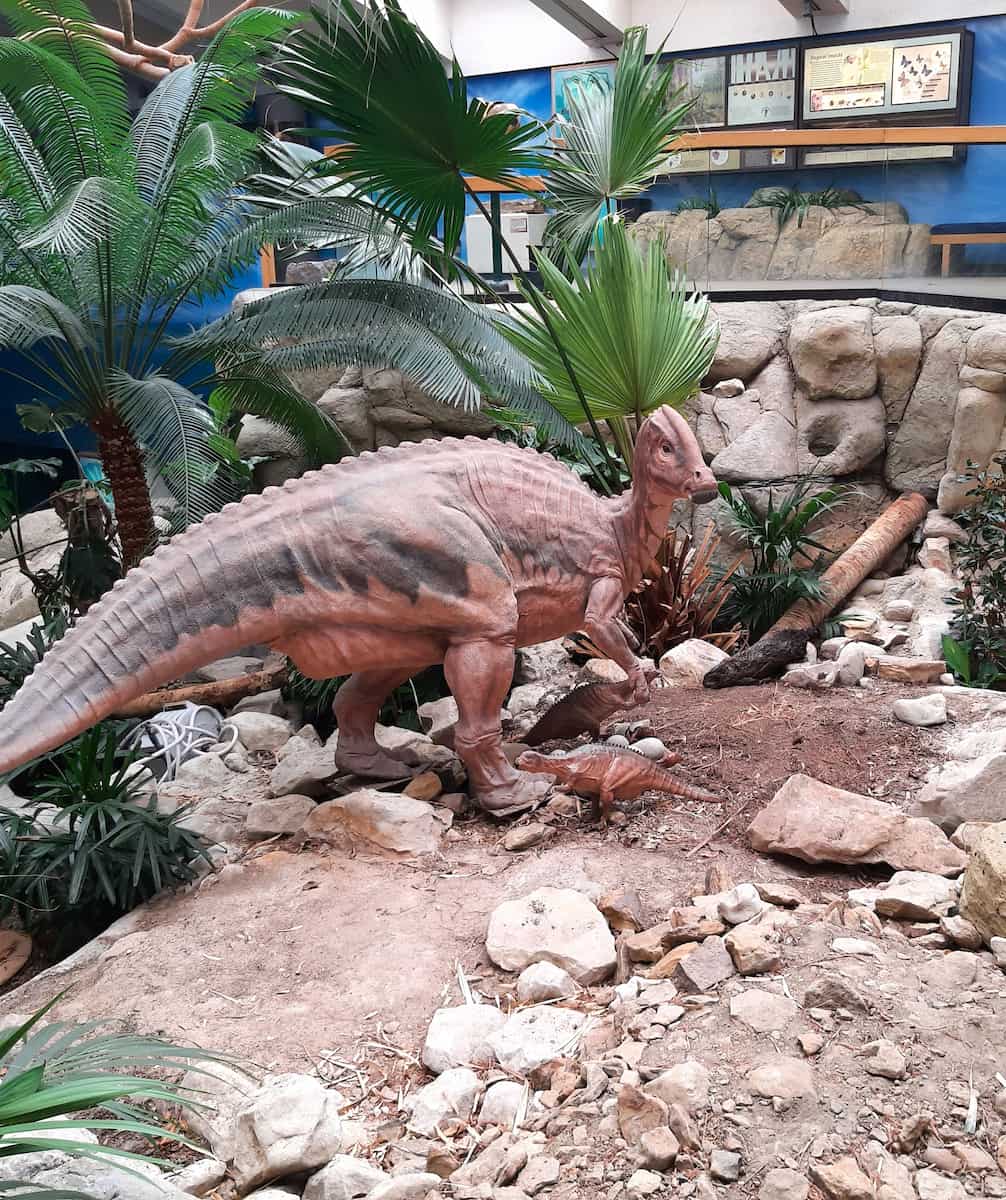 New Mexico Museum of Natural History, Albuquerque New Mexico Museum of Natural History, Albuquerque