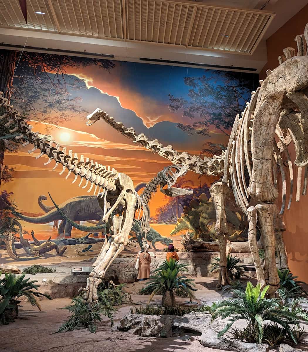 New Mexico Museum of Natural History, Albuquerque New Mexico Museum of Natural History, Albuquerque