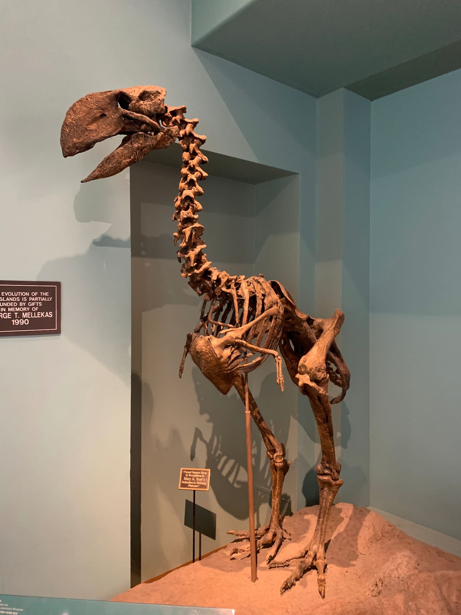New Mexico Museum of Natural History, Albuquerque New Mexico Museum of Natural History, Albuquerque