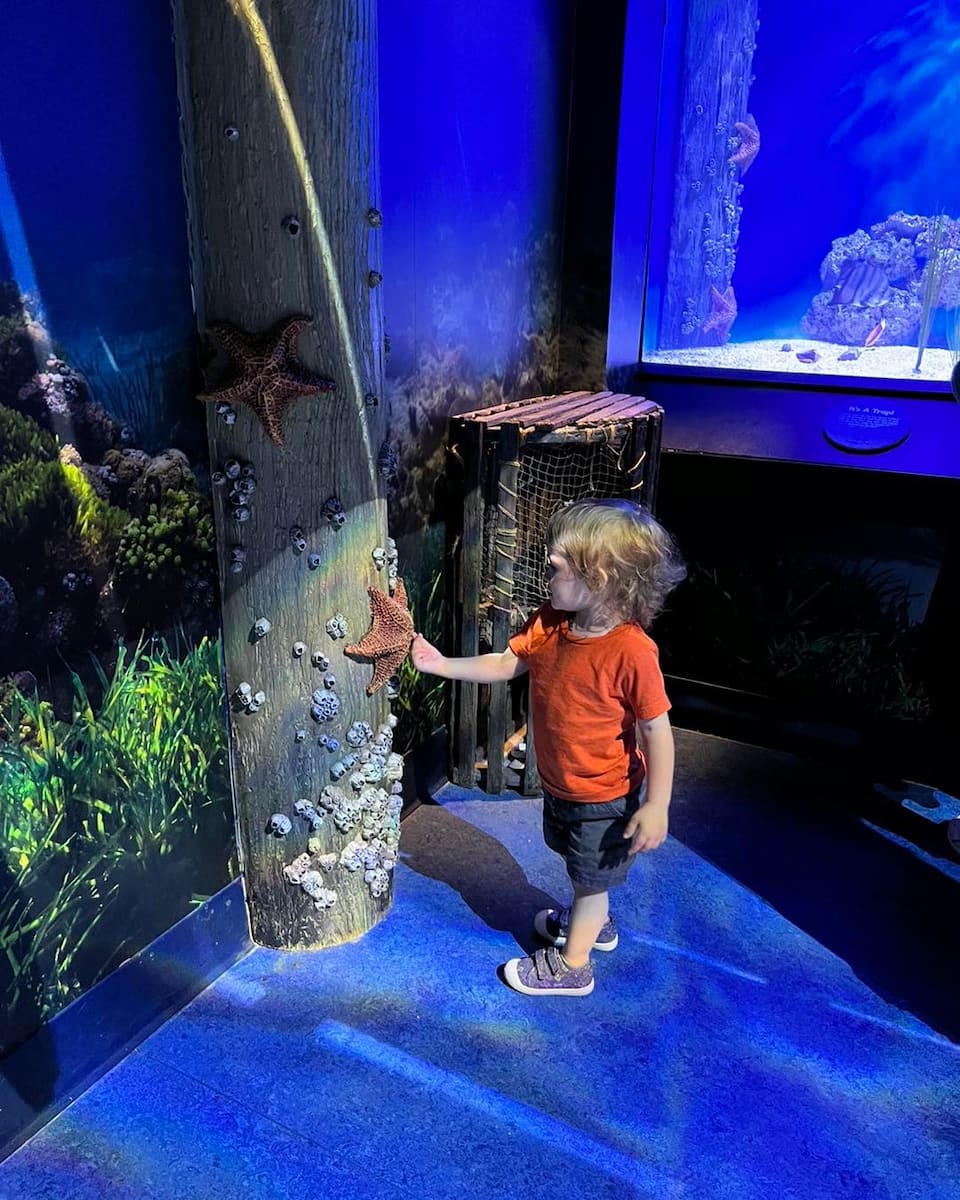 Newport Aquarium, Cincinnati Newport Aquarium, Cincinnati