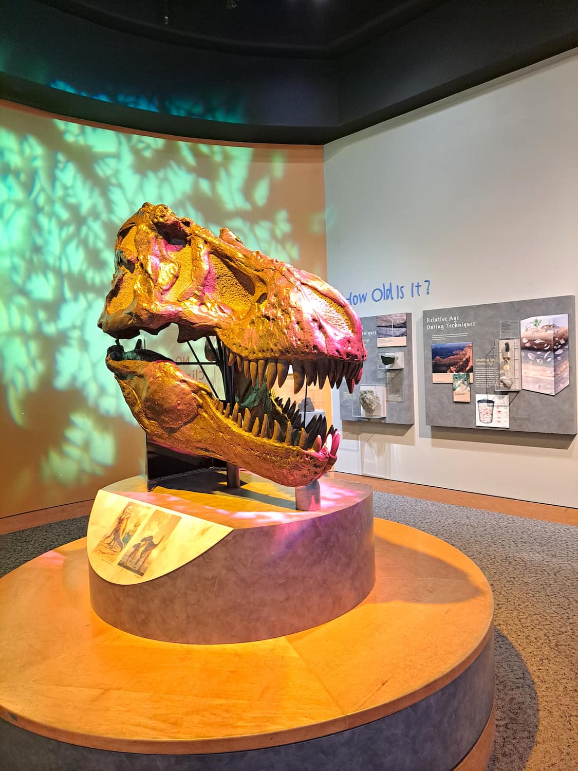 North Carolina Museum of Natural Sciences, Raleigh North Carolina Museum of Natural Sciences, Raleigh