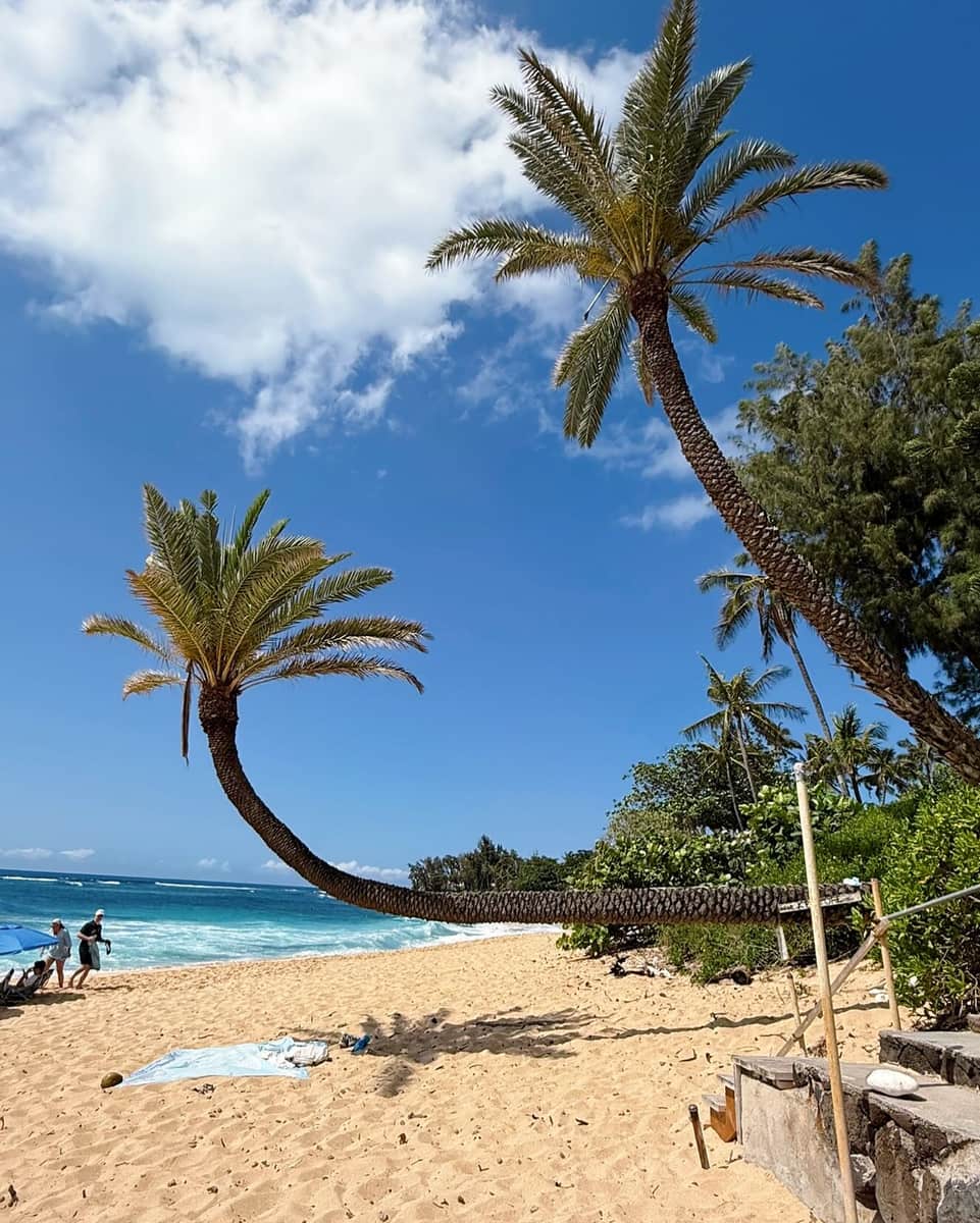 North Shore Oahu North Shore Oahu