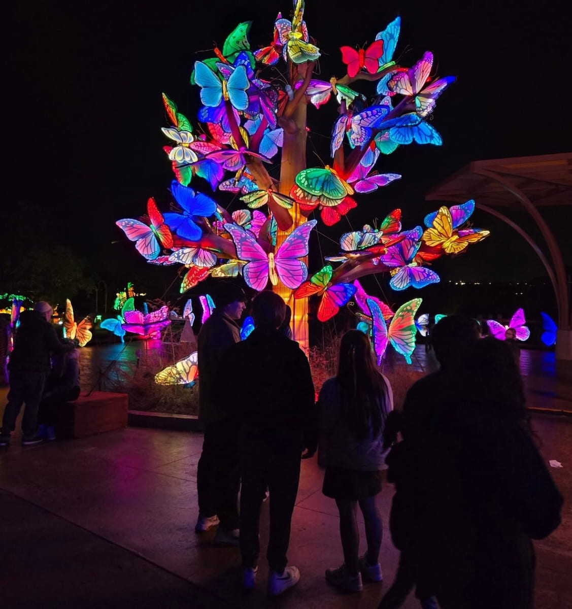 Oklahoma City Zoo Overnight Adventures Oklahoma City Zoo Overnight Adventures
