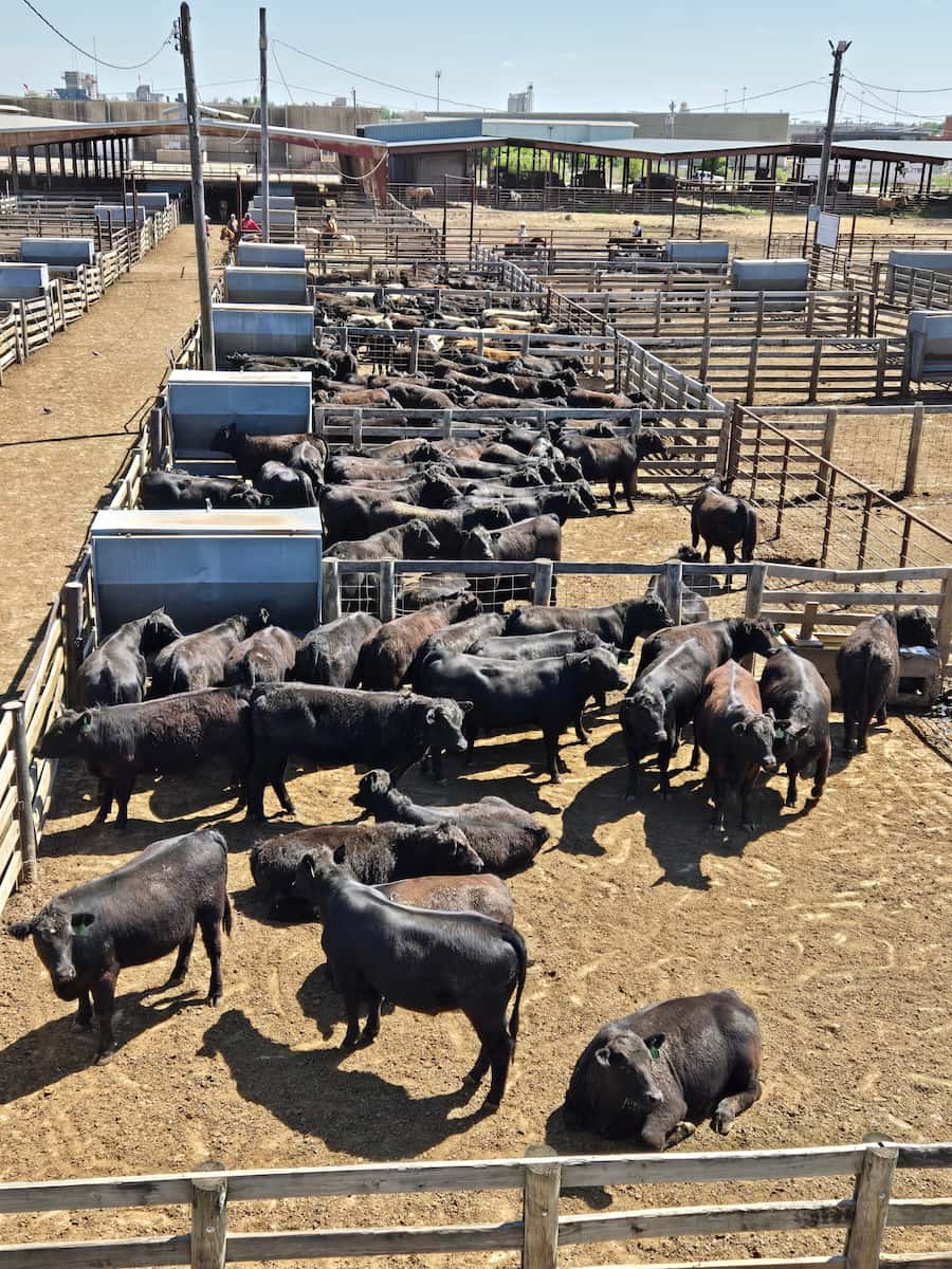 Oklahoma National Stockyards, Oklahoma City Oklahoma National Stockyards, Oklahoma City