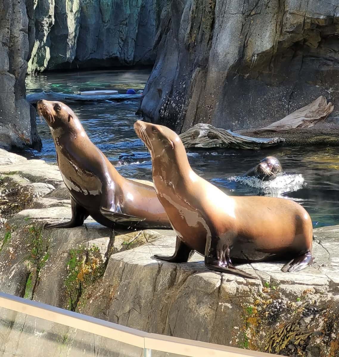 Omaha's Henry Doorly Zoo, Omaha Omaha's Henry Doorly Zoo, Omaha