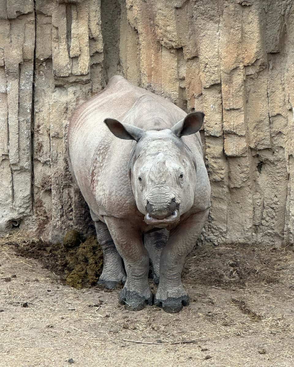 Omaha's Henry Doorly Zoo, Omaha Omaha's Henry Doorly Zoo, Omaha