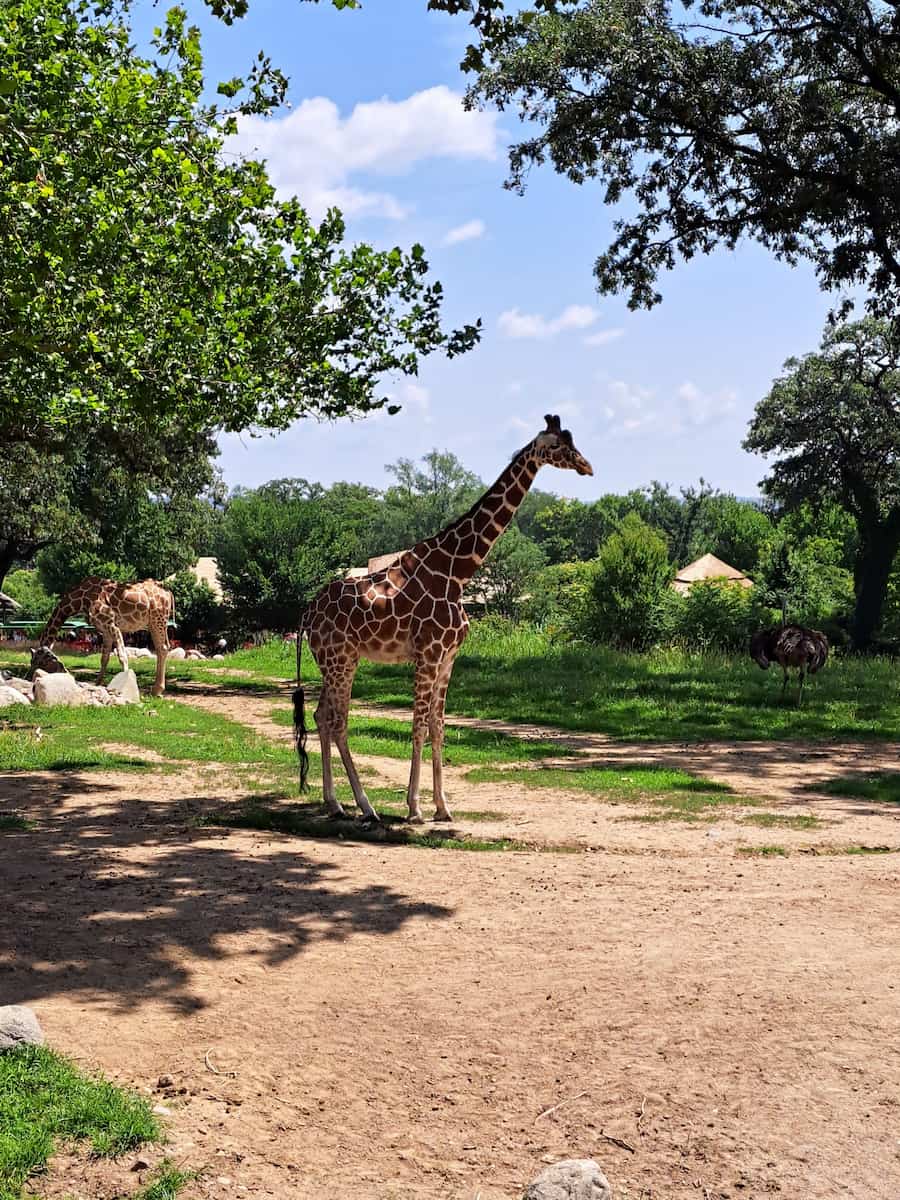 Omaha's Henry Doorly Zoo, Omaha Omaha's Henry Doorly Zoo, Omaha