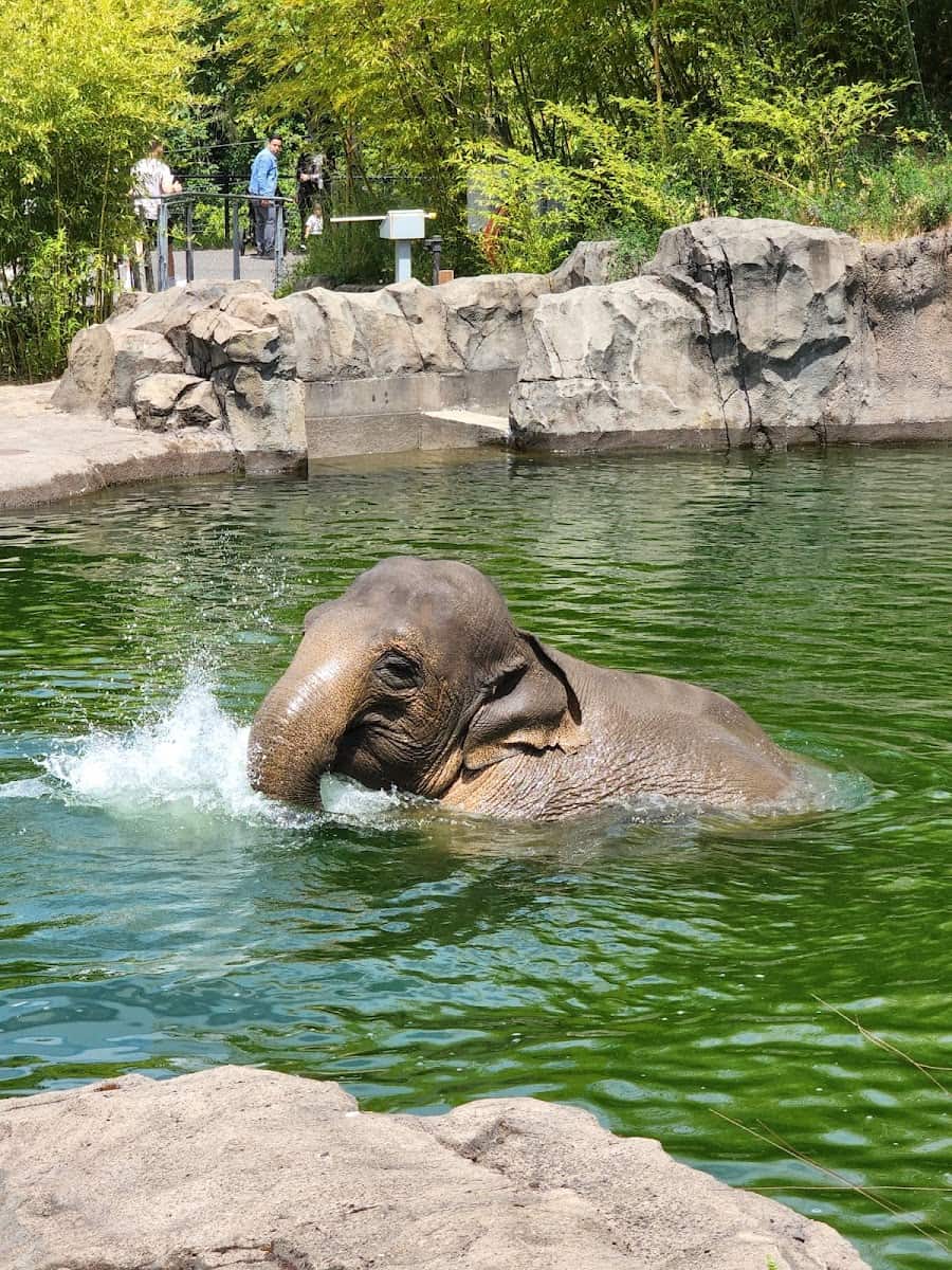 Oregon Zoo, Portland Oregon Zoo, Portland