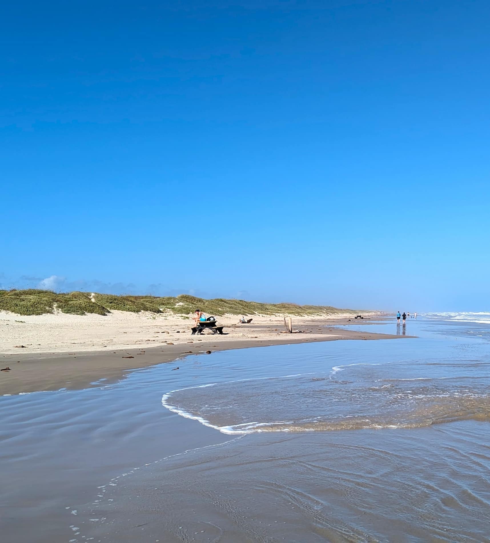 Padre Island National Seashore, Corpus Christi Padre Island National Seashore, Corpus Christi