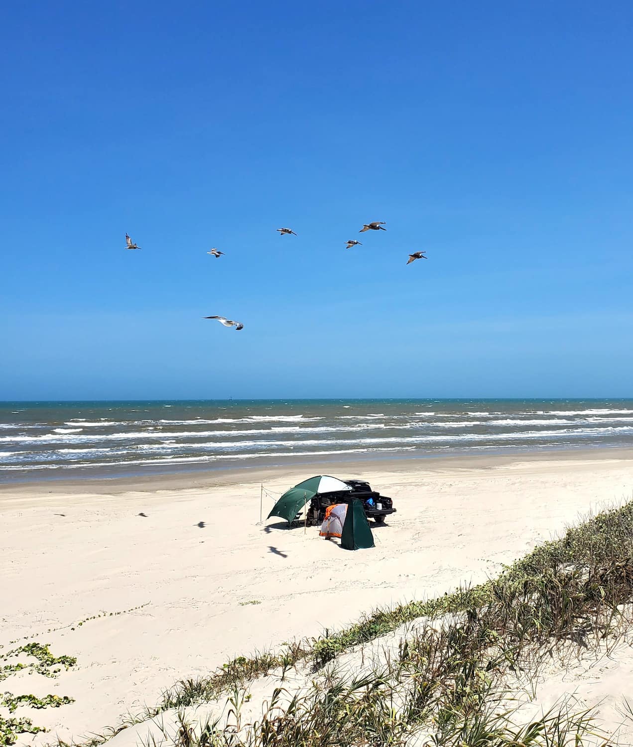 Padre Island National Seashore, Corpus Christi Padre Island National Seashore, Corpus Christi