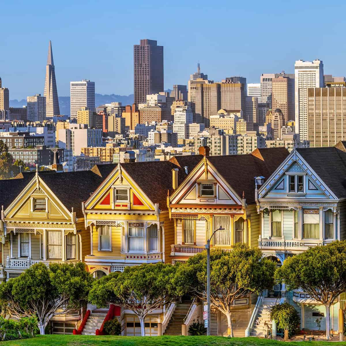 Painted Ladies, San Francisco Painted Ladies, San Francisco