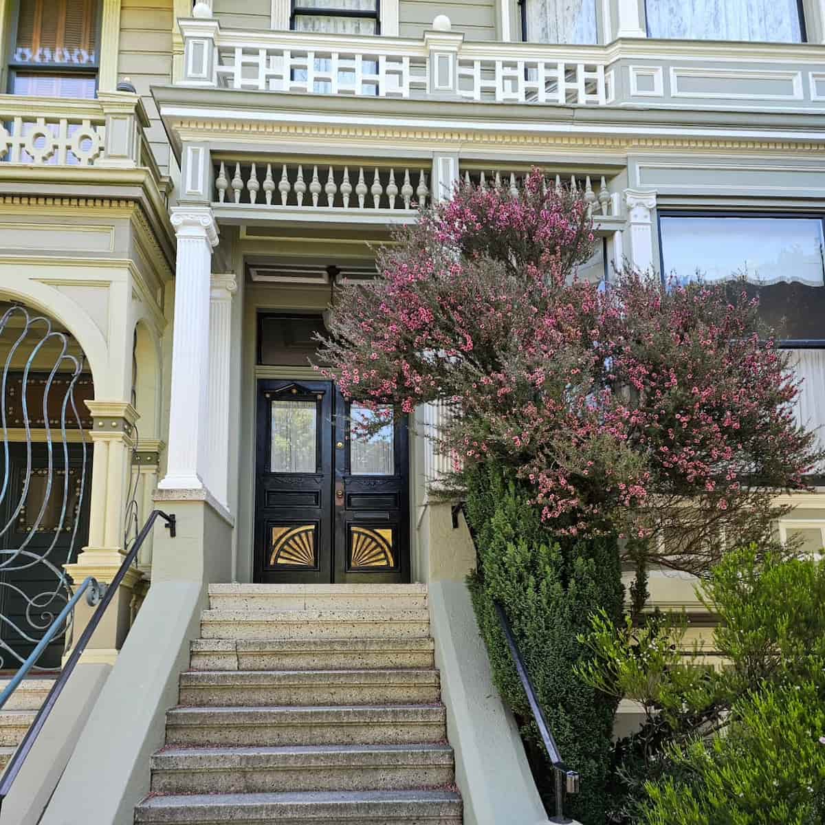 Painted Ladies, San Francisco Painted Ladies, San Francisco