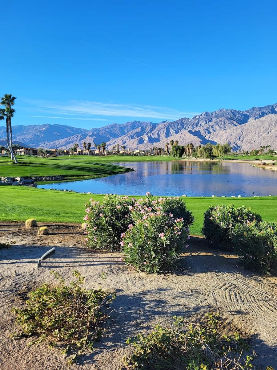 Palm Springs Palm Springs