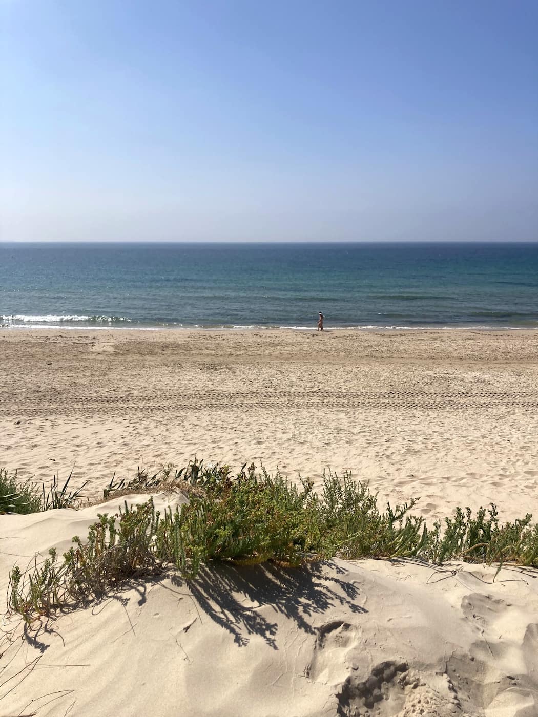 Parque Natural del Estrecho Tarifa Parque Natural del Estrecho Tarifa