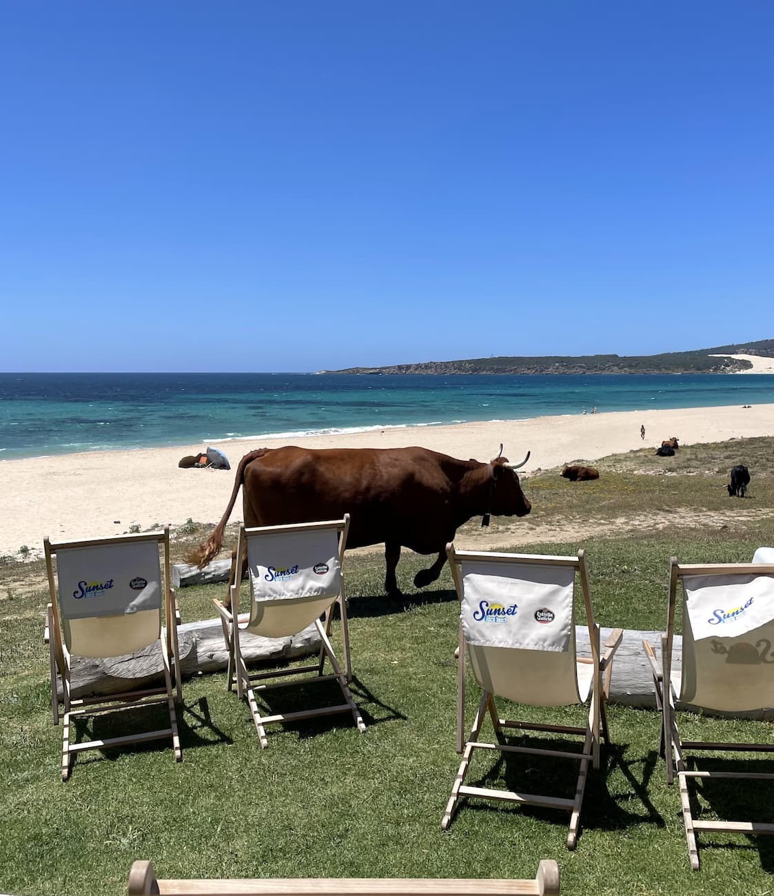 Parque Natural del Estrecho Tarifa Parque Natural del Estrecho Tarifa