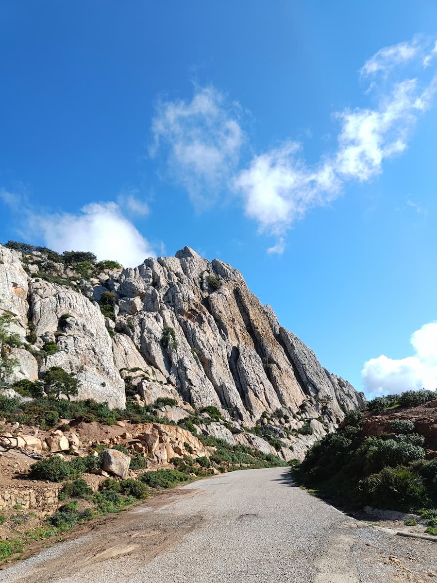 Parque Natural del Estrecho Tarifa Parque Natural del Estrecho Tarifa