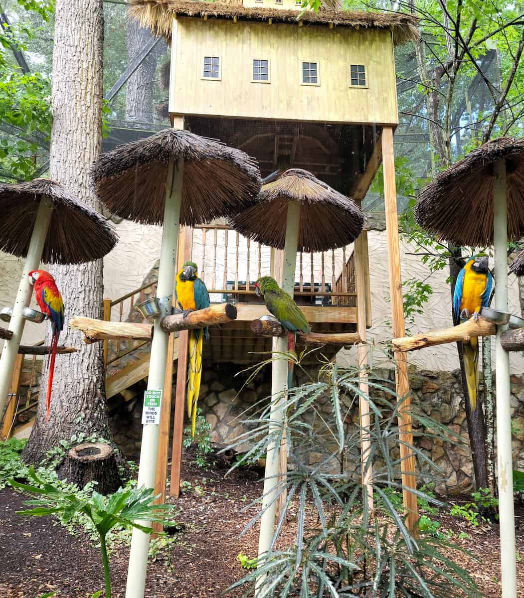 Parrot Mountain & Gardens Pigeon Forge Parrot Mountain & Gardens Pigeon Forge