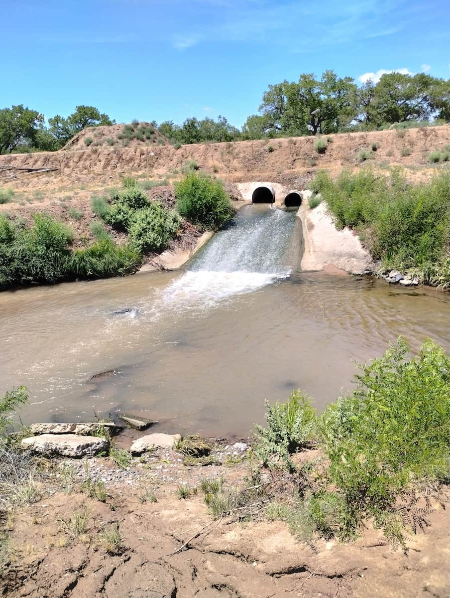 Paseo del Bosque Trail, Albuquerque Paseo del Bosque Trail, Albuquerque