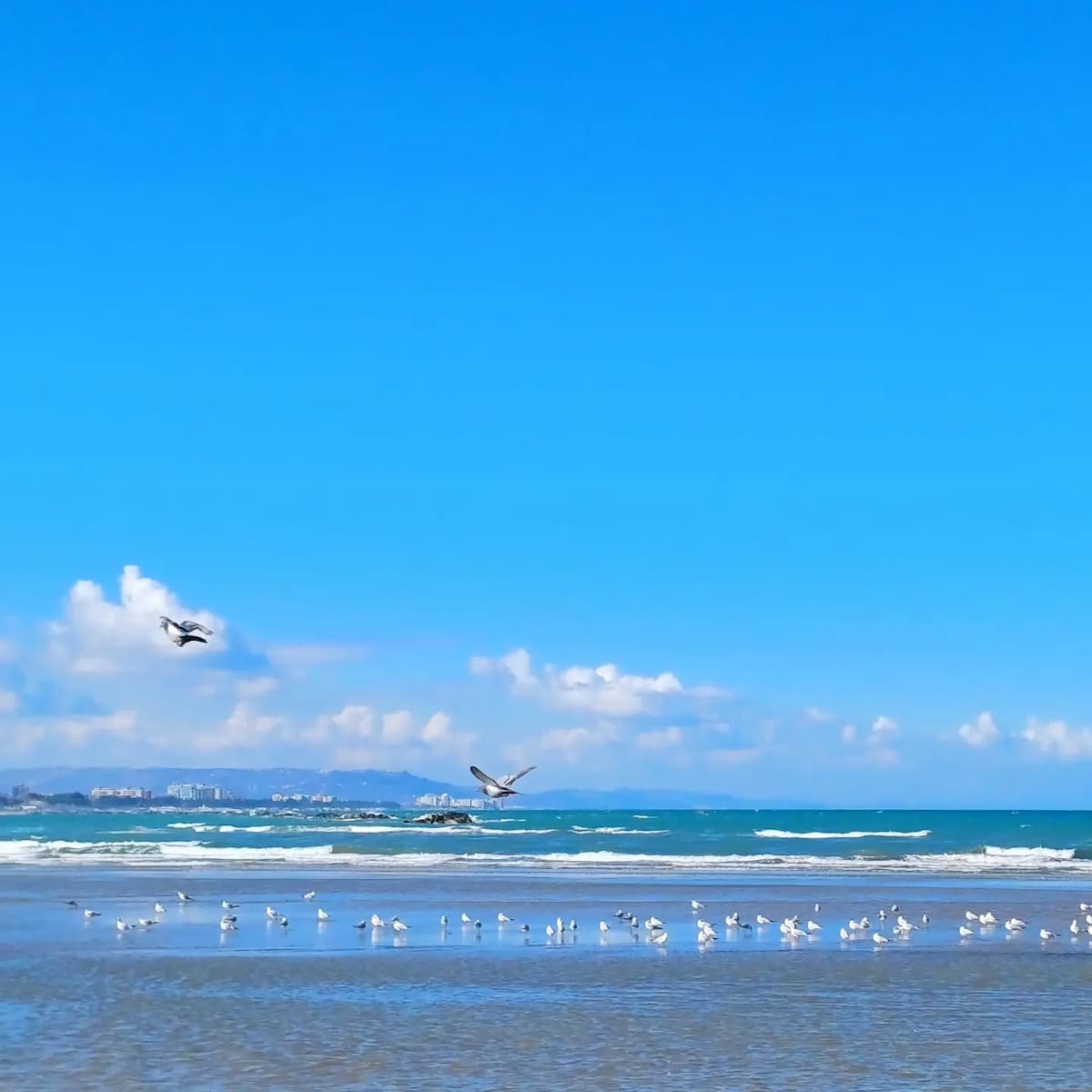 Pescara Beach Pescara Beach